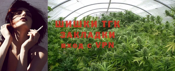 PSILOCYBIN Кодинск