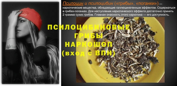 PSILOCYBIN Кодинск