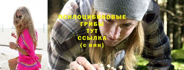 PSILOCYBIN Кодинск