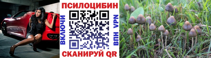 Купить закладки  Бронницы  Галлюциногенные грибы Magic Shrooms 